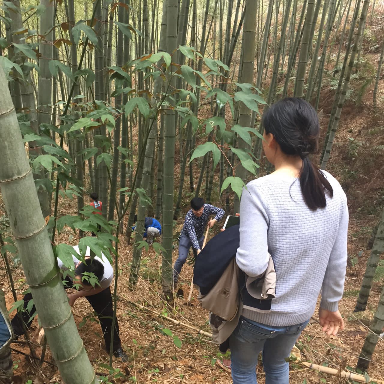 南昆山踏青之旅